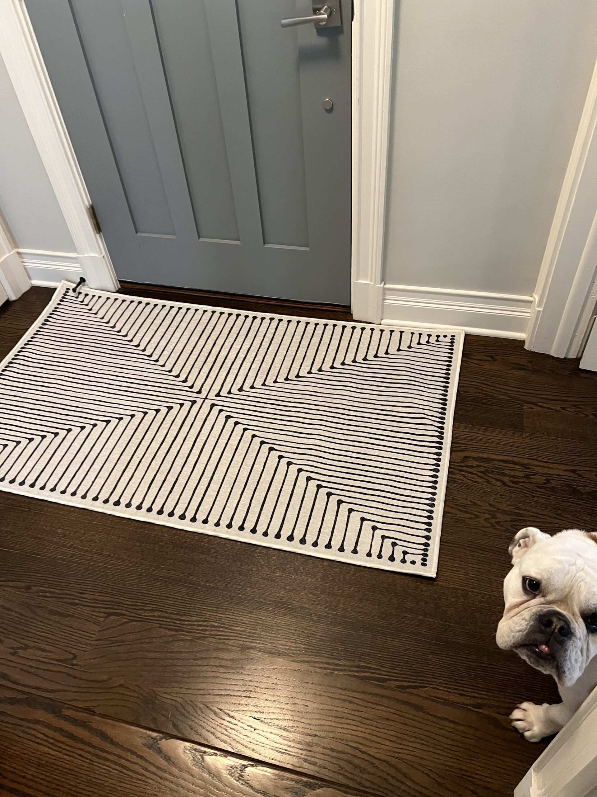 entry rug