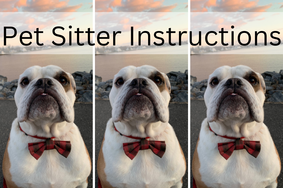 Pet Sitter Instructions