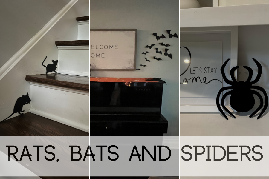 rats, bats and spiders