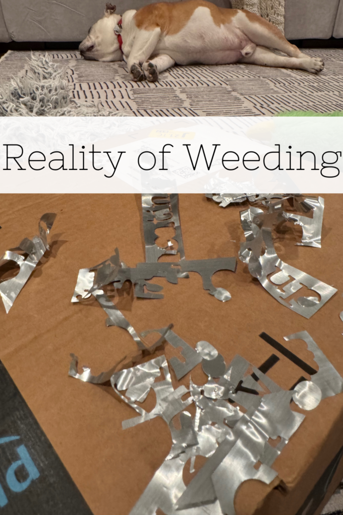 Reality of Weeding