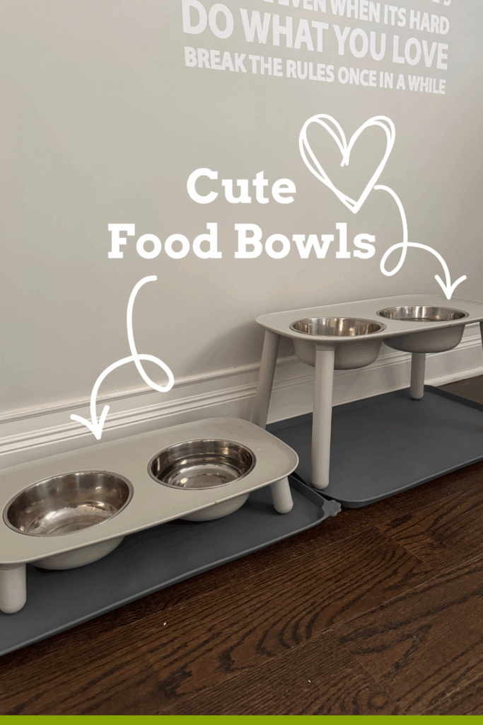 Food Bowls