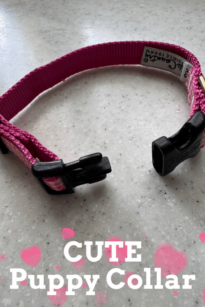 Puppy Collar