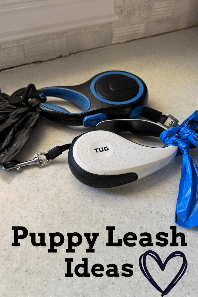 Puppy Leash Ideas