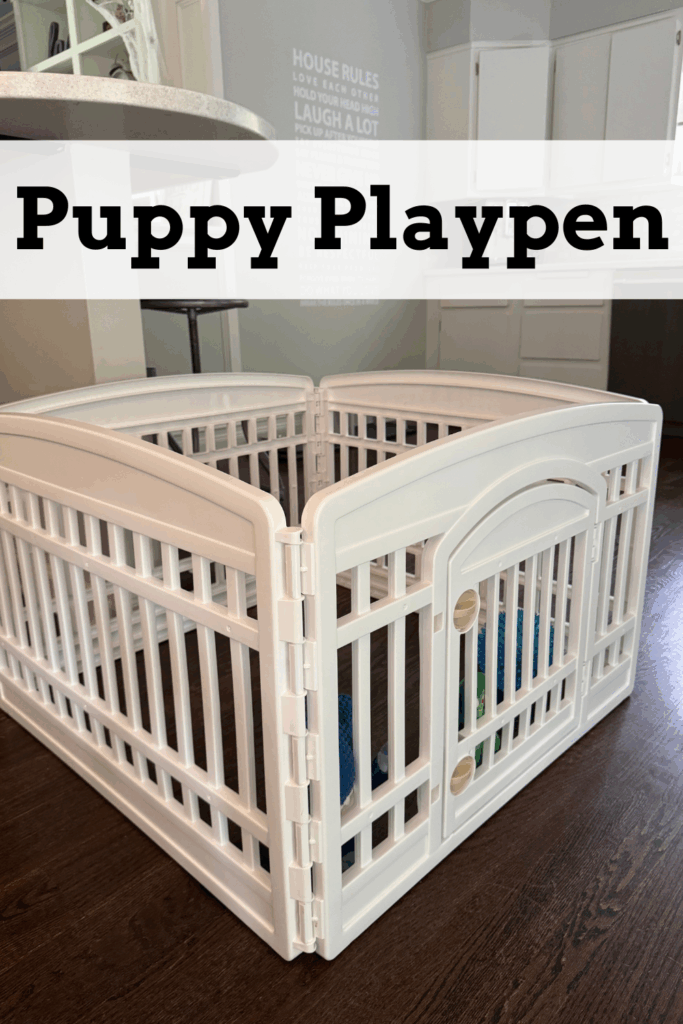 Puppy Playpen
