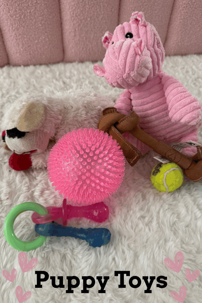 Puppy Toys